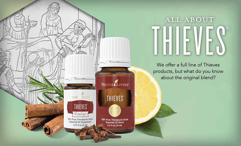 Blog-All-About-Thieves_Header_US_0216_sk